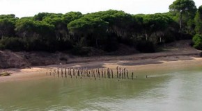 Andalucía frena el gasoducto de Doñana