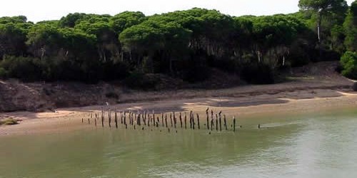 Andalucía frena el gasoducto de Doñana